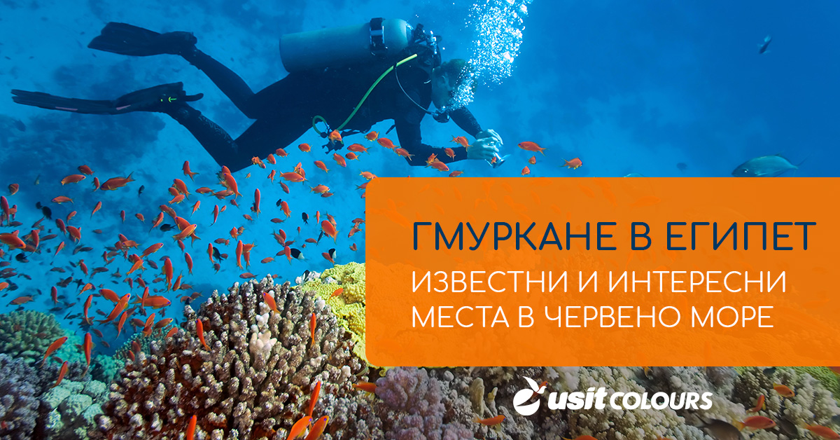 Гмуркане в Египет