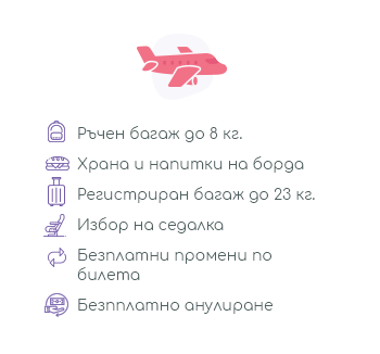Economy Flex от Lufthansa