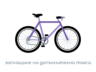 Специален багаж