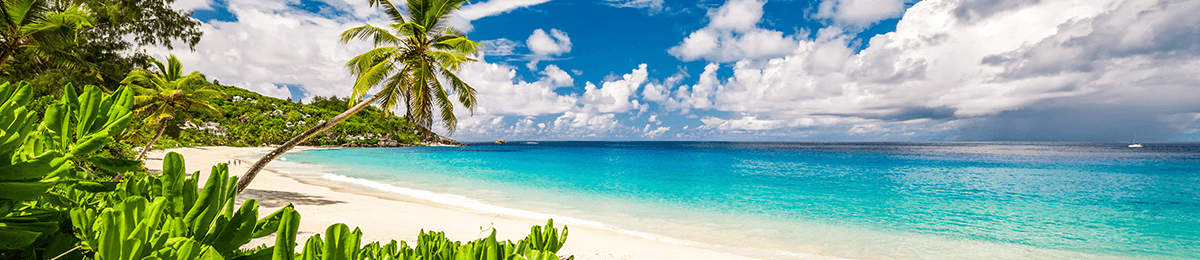 Интересни факти за Сейшелите!