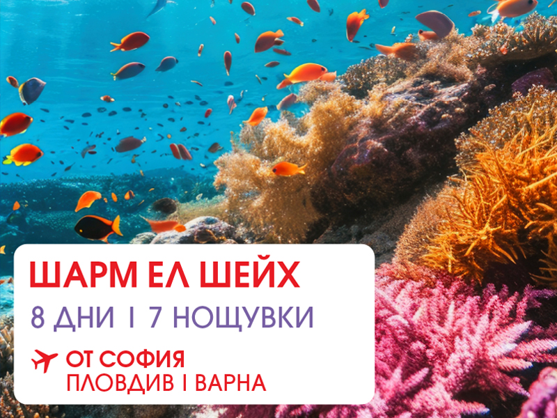 Шарм ел Шейх